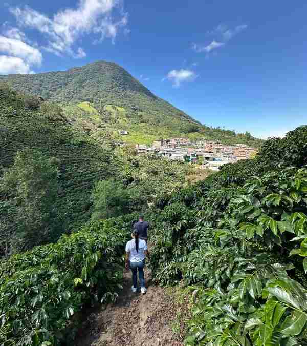 100% COLOMBIAN COFFEE PERFECTION