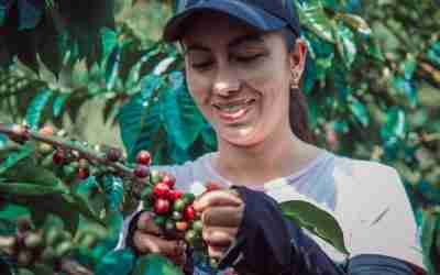 SOURCING OUR COFFEE: THROUGH ETHICAL & DIRECT RELATIONSHIPS