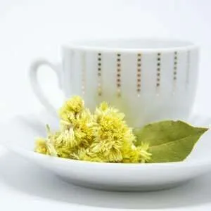 MORINGA GREEN TEA HEALER in a white tea cup