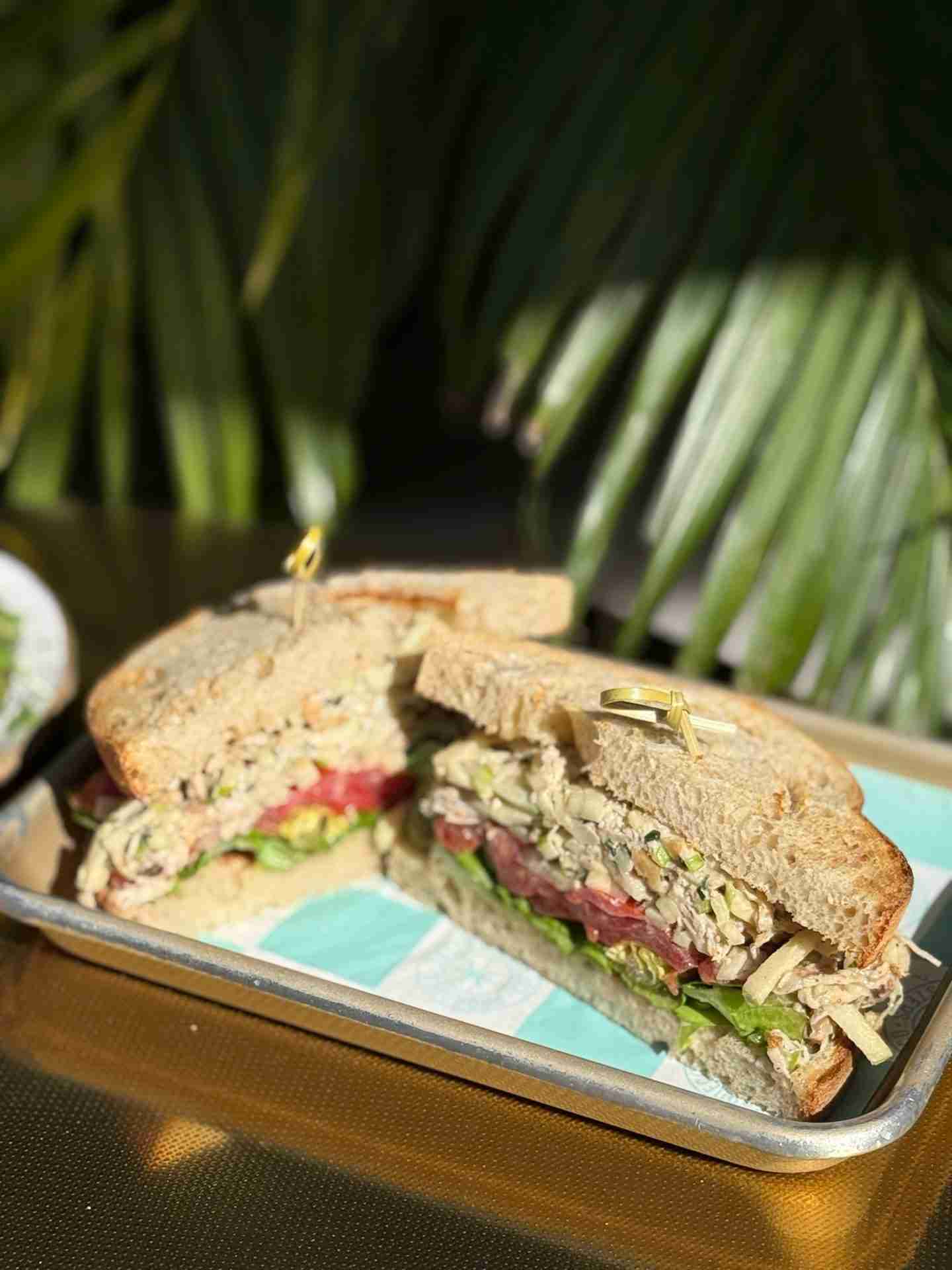 paradeco-coffee-roasters-st-petersburg-fl-st-pete-pier-chicken-salad-sandwich-gluten-free-lunch-brunch-breakfast