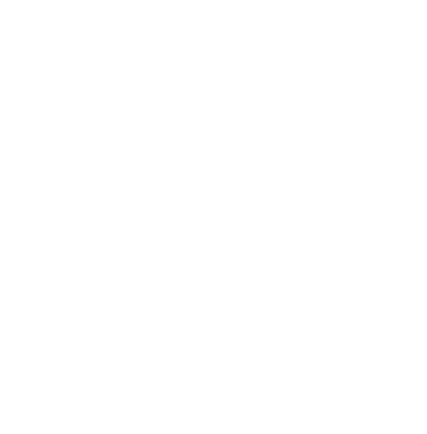 zoom-icon